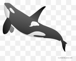 Orca Whale Png - Orca Whale Full Body Emoji,Orca Emoji