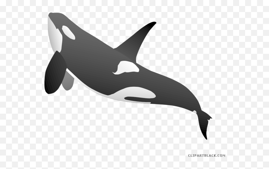 Orca Whale Png - Orca Whale Full Body Emoji,Orca Emoji