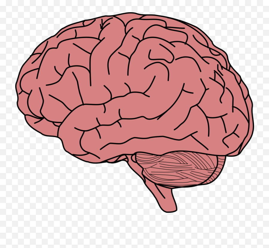 Brain Png Files - Transparent Background Brain Png Emoji,Brain Exploding Emoji