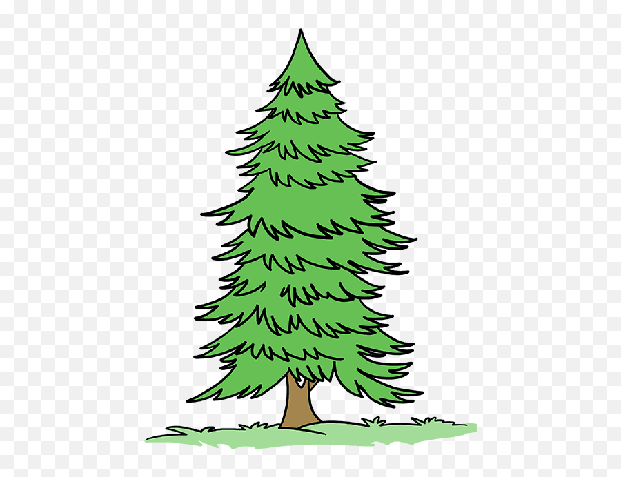 How To Draw A Spruce Tree - Drawing Emoji,Pine Tree Emoji