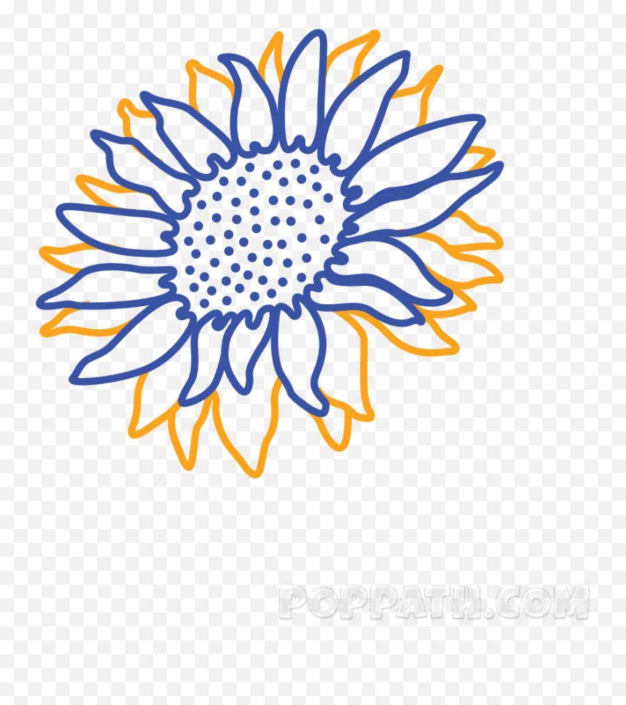 How To Draw A Sunflower - Sunflower Drawing Png Emoji,Sun Flower Emoji
