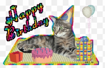 Top Stickers For Android Ios - Animated Gif Happy Birthday Funny With Cats Emoji