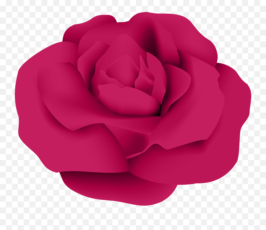 Garden Roses Centifolia Roses Clip Art - Dark Pink Rose Png Emoji,Rose Emoji Png