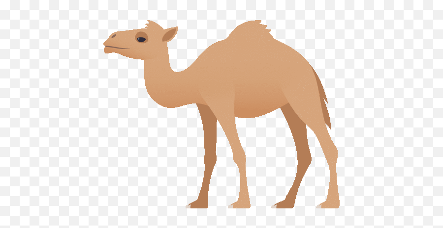 Camel Nature Gif - Camel In Arabic Clipart Emoji,Hump Day Emoji