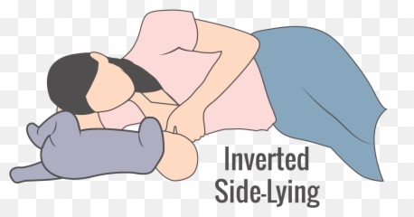 Transparent Nipple Lies Transparent Png Clipart Free - Inverted Side Lying Breastfeeding Position Emoji,Nipple Emoji