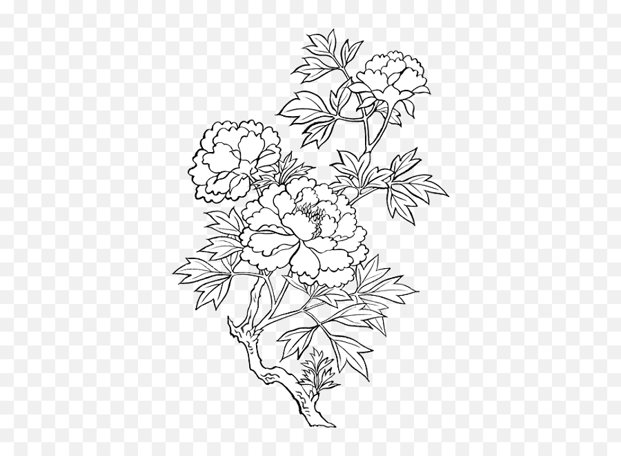 Flower Png Doodle Pack - Transparent Flower Doodle Png Emoji,Emoji Flowers Copy And Paste