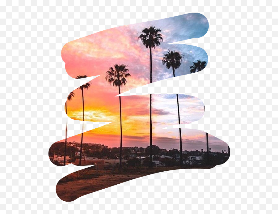 Palm Tree Sticker Challenge - Borassus Flabellifer Emoji,Palm Tree Book Emoji