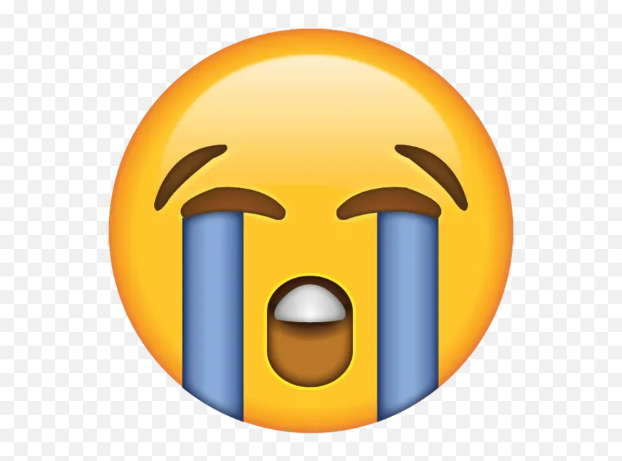 Staff Handbook Review - Crying Face Emoji Png,Education Emoji