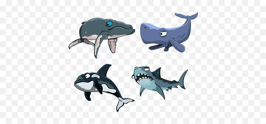 Free Whale Fish Vectors - Cartoon Sharks And Whales Emoji,Orca Emoji