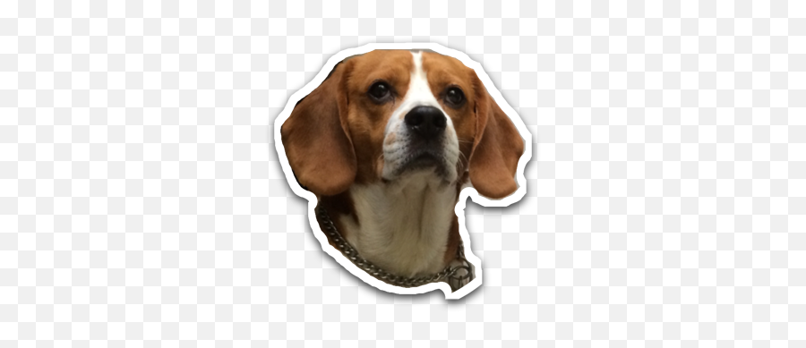 Iphone Transforme Vos Images En Emojis - Emoji Png Contour Blanc,Beagle Emoji