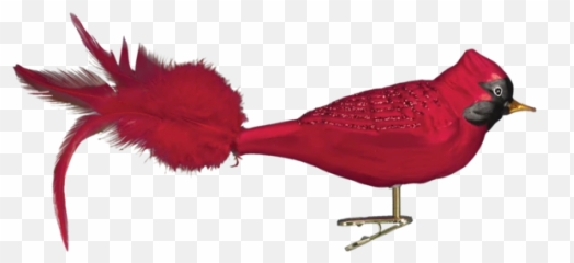 Old World Christmas Red Cardinal Glass - Animal Figure Emoji,Cardinal Bird Emoji