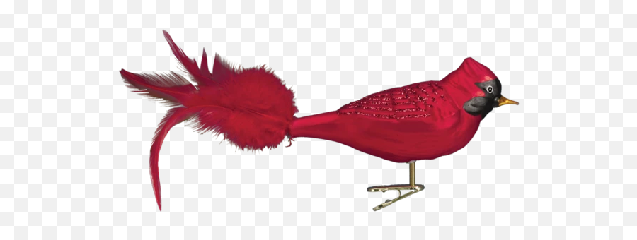 Old World Christmas Red Cardinal Glass - Animal Figure Emoji,Cardinal Bird Emoji