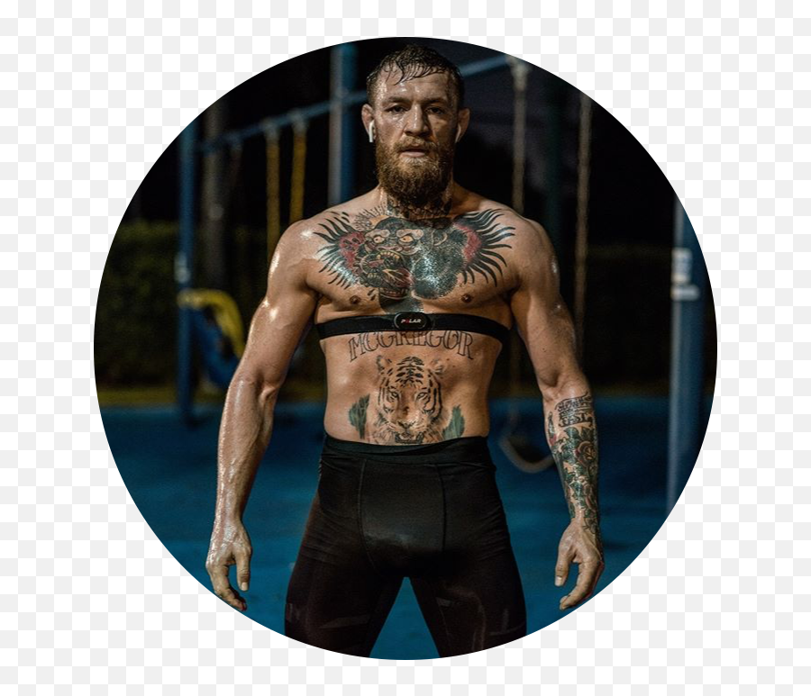 Conormcgregor Mma Ufc Fight Ireland Sticker By Gvng - Conor Mcgregor Emoji,Ufc Emoji