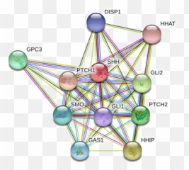 Qopo - Circle Emoji,Emoji Shhh