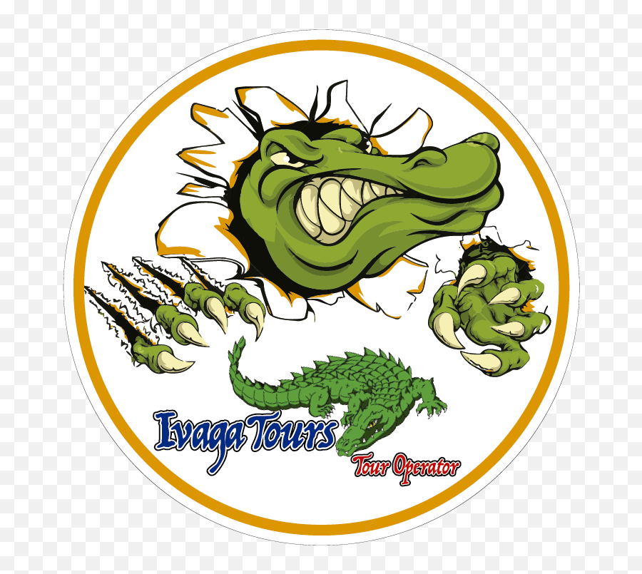Download Mr Alligator Crocodile Workbook Of Affirmations Mr - Mean Alligator Cartoon Emoji,Alligator Emoticon