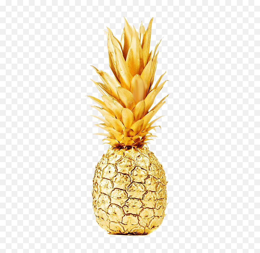 Pineapple Png - Pineapple Golden Pineapple 470747 Vippng Golden Pineapple Transparent Emoji,Pineapple Emoji