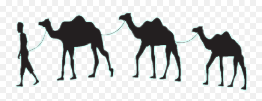 Camel Sticker By - Camel Caravan Clipart Emoji,Camel Emoji