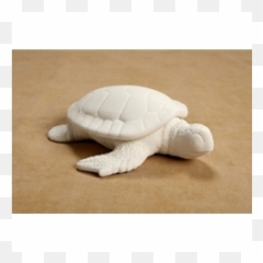 Boxes Sea Turtle Box6 Spo - Soft Emoji,Sea Turtle Emoji