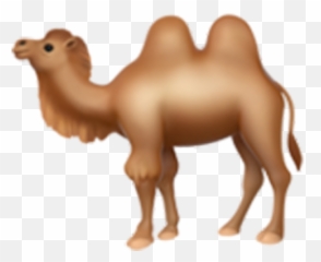40 Sexting Emoji - Two Hump Camel Emoji,X Rated Emoji