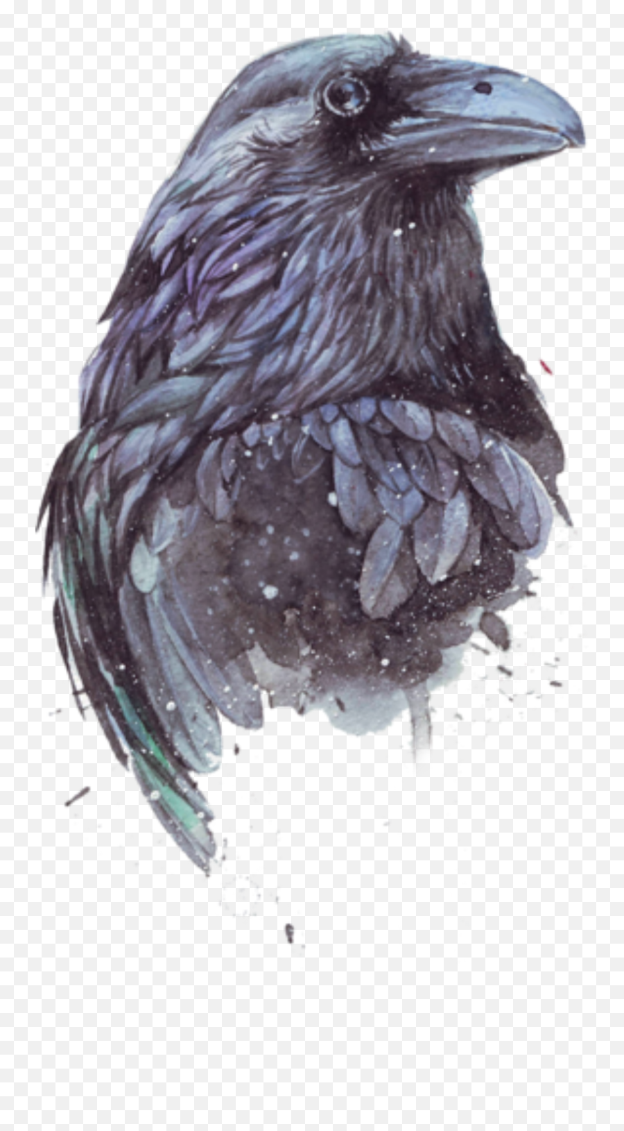 Bird Raven Crow Magpie Freetoedit - Raven Paintings In Watercolor Emoji,Crow Emoji