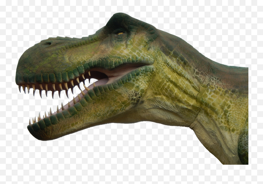 Dinosaur Prehistoric Times Dino Reptile T Rex - Dinosaurios Png Fondo Transparente Emoji,T Rex Emoji