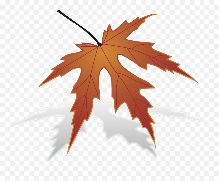 Maple Canada Logo Transparent Png - Japanese Maple Emoji,Maple Leaf Emoticon
