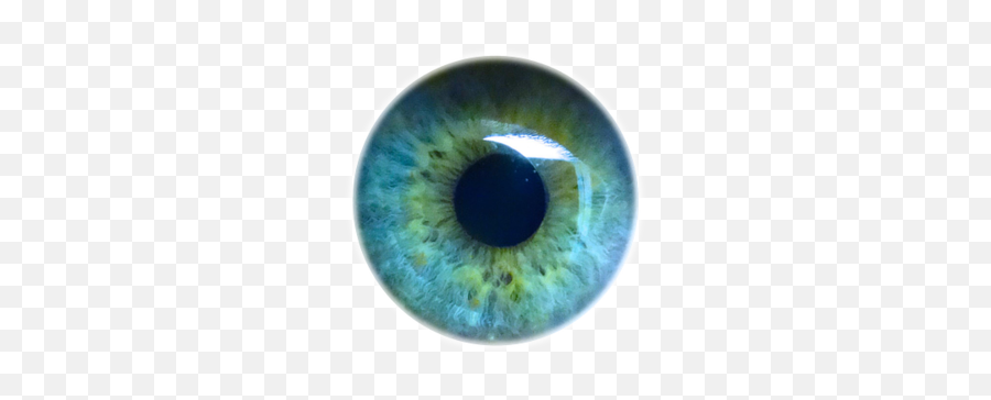 Download Free Png Eye Iris Look See Pupil Eye P - Dlpngcom Transparent Background Png Eyeball Png Emoji,Iris Emoji