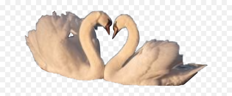 Edit - Aesthetic Vintage Transparent Birds Emoji,Swan Emoji