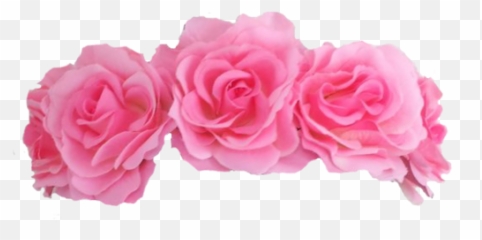 Flower Crown Png - Pink No Background Emoji