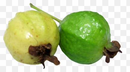 Guava Png Emoji,Peanut Butter Emoji