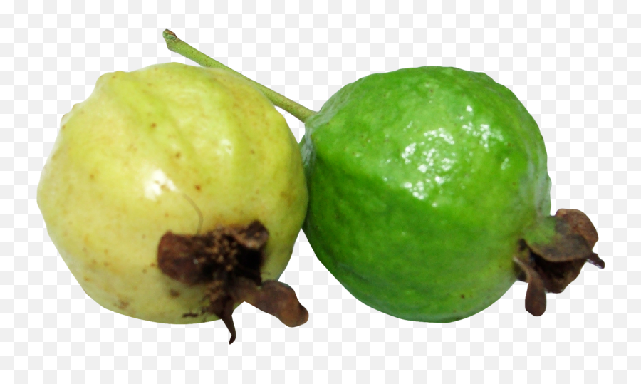 Guava Png Emoji,Peanut Butter Emoji