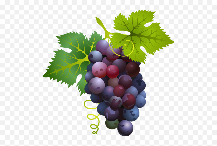 Grapes Clipart 6 - Clipartix Grapes Clipart Emoji,Grape Emoji