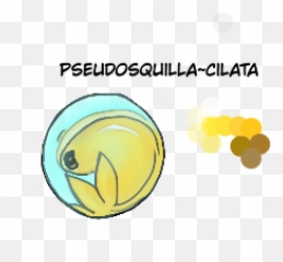Getting Ready For - Circle Emoji
