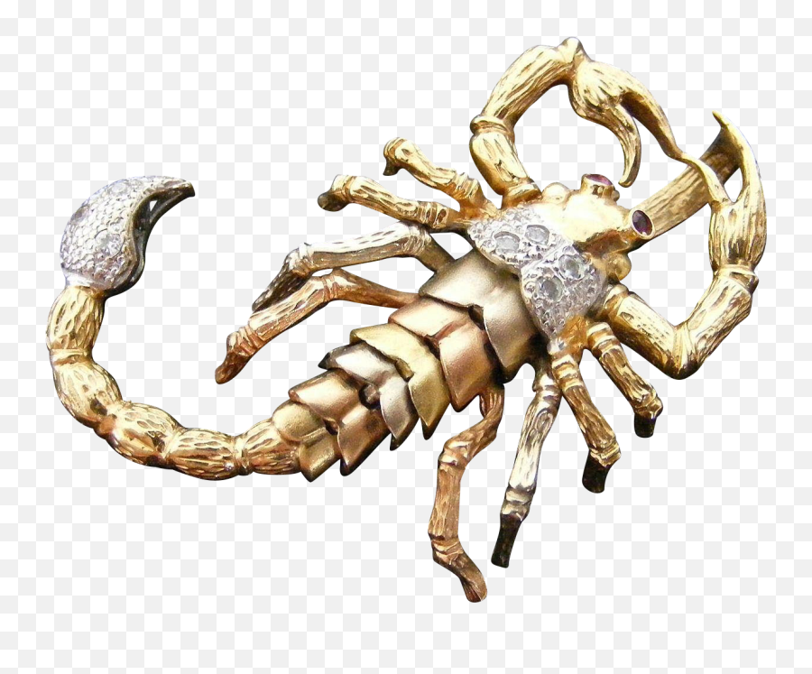 Large Articulated Scorpion Pendant With - Gold Scorpion Png Transparent Emoji,Scorpion Emoji