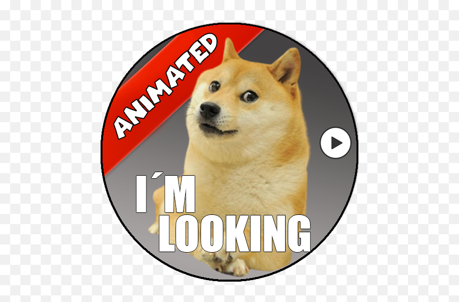 Animated Memes Stickers With Phrases For Whatsapp U2013 Apps Bei - Hokkaido Dog Emoji,Shiba Inu Emoji