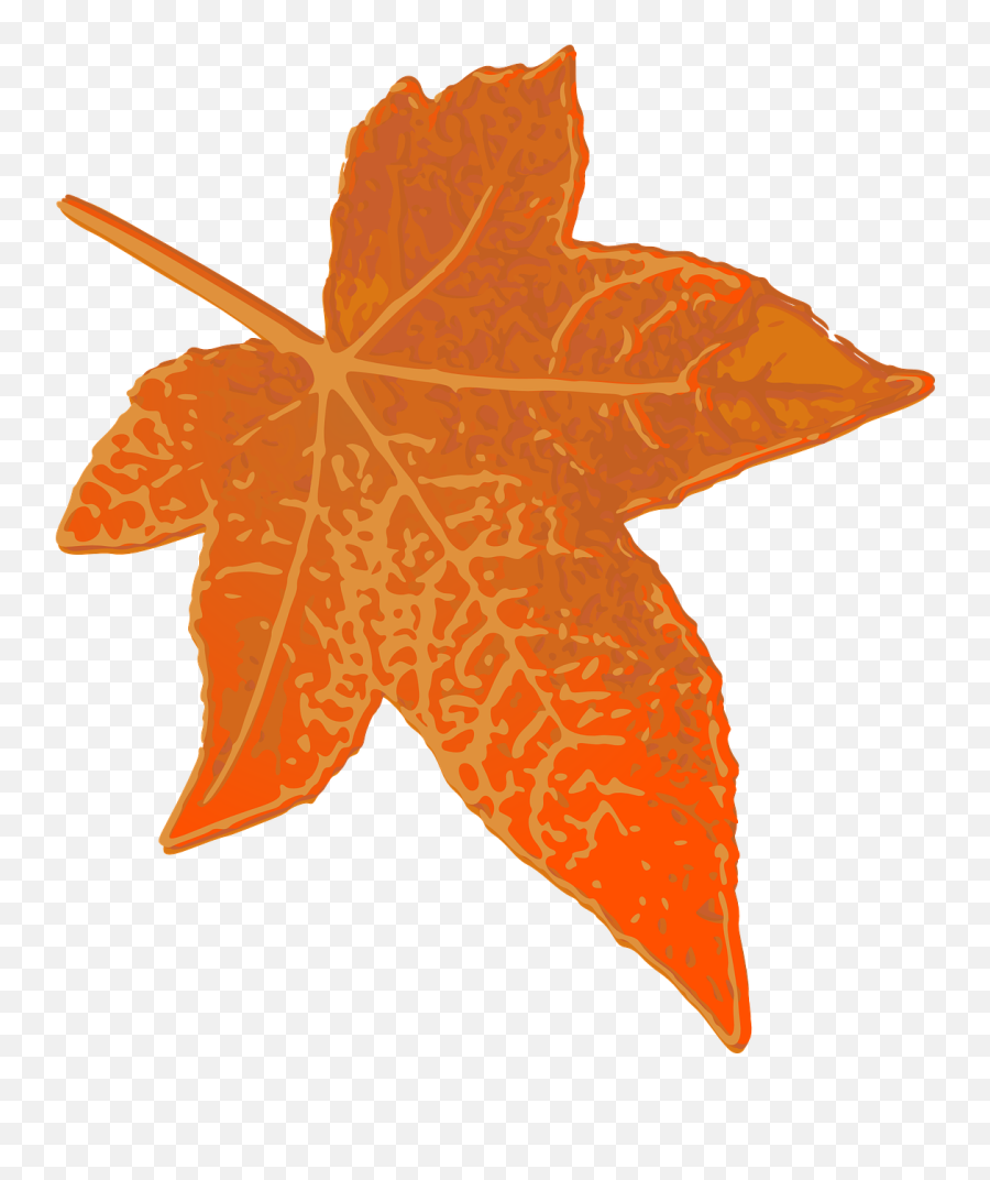 Folha Laranja Png Emoji,Leaf Snowflake Bear Earth Emoji