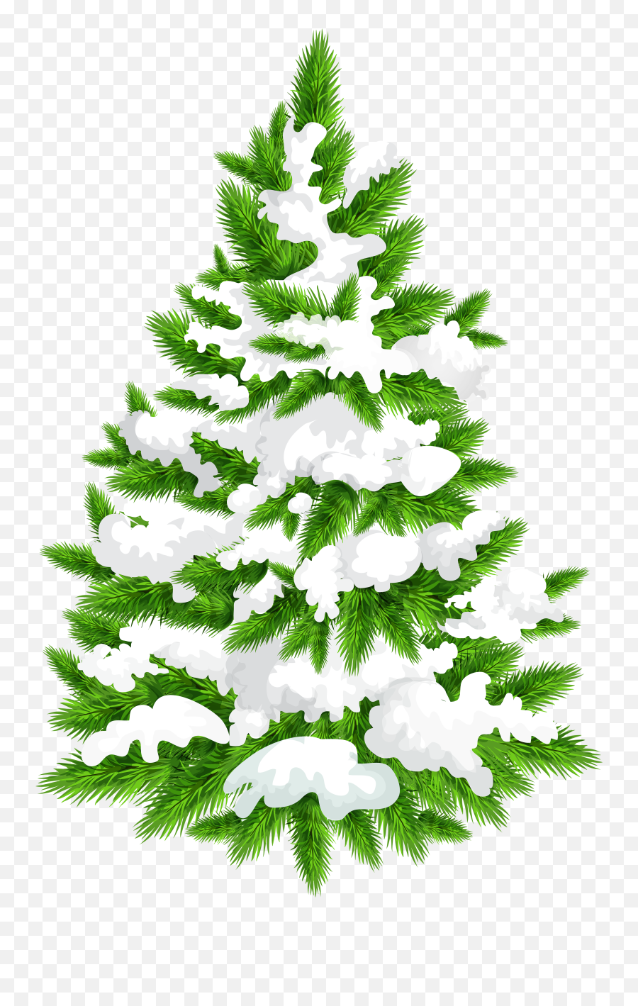 White Pine Tree White Silhouette Transparent Png Clipart - Transparent Pine Tree Clipart Emoji,Pine Tree Emoji