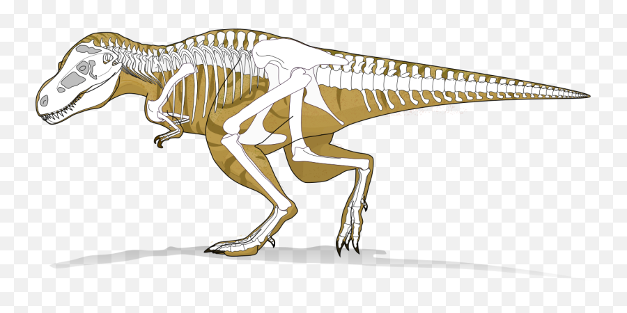 Tyranosaurus Rex 1 - T Rex X Ray Emoji,T Rex Emoji