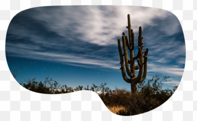 About - Showit Tucson Emoji