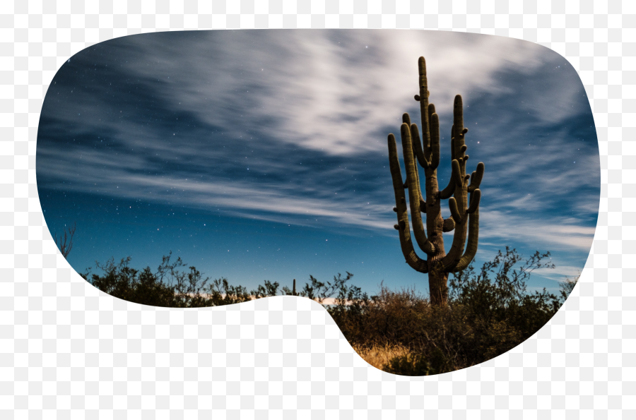 About - Showit Tucson Emoji,Desert Emoji