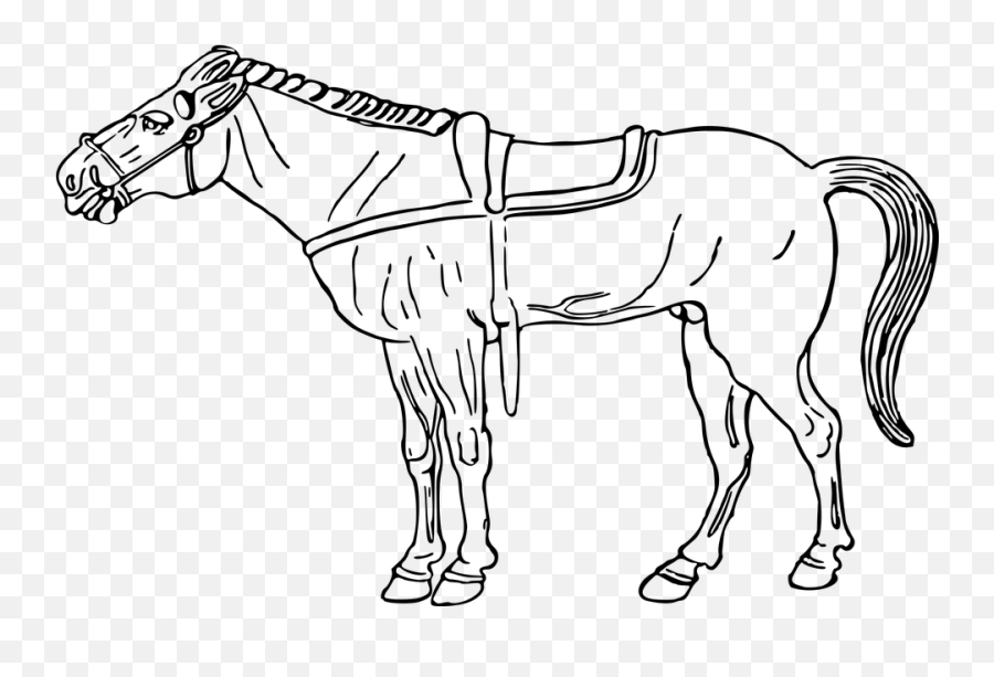 Free Pony Horse Vectors - Dibujos De Caballos Con Montura Emoji,Unicorn Emoji