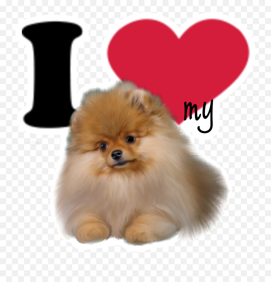 Dog Pomskyart Pomeranian Pomeranians - Pomeranian Emoji,Pomeranian Emoji