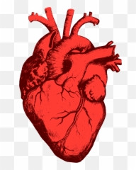 Beating Heart Png Files - Bad Habit Mouthe Remix Emoji,Pounding Heart Emoji