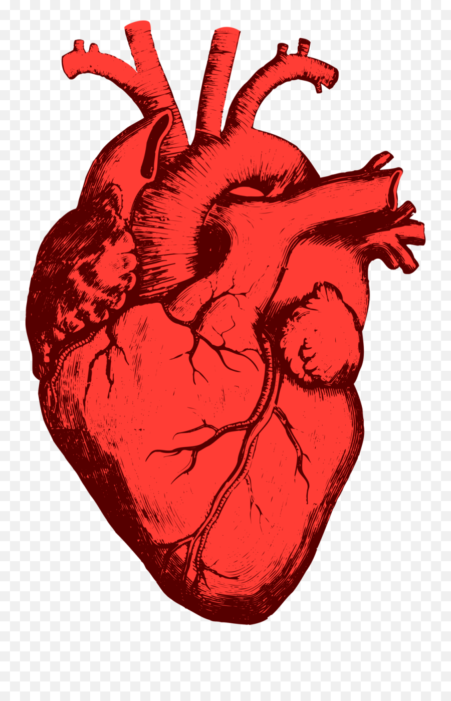 Beating Heart Png Files - Bad Habit Mouthe Remix Emoji,Pounding Heart Emoji