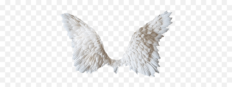 Emoji Aesthetics Outfit Shoplook - Angel Wings Transparent,Hawk Emoji
