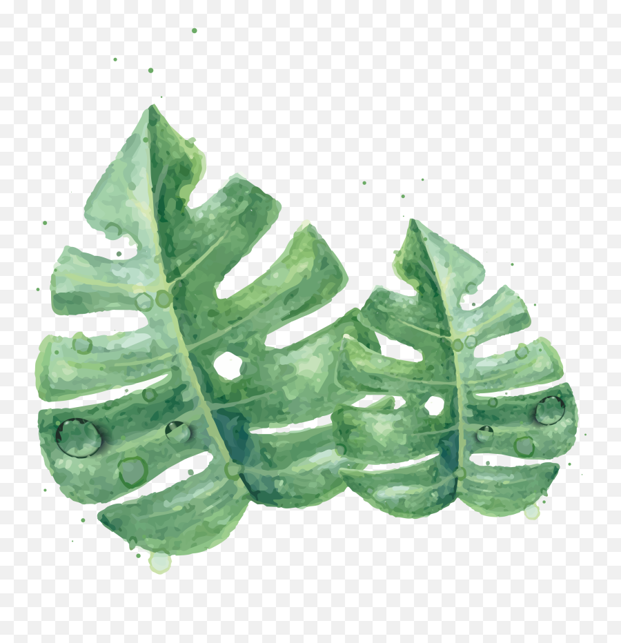 Download Leaf Leaves Watercolor Green Skin Painting Clipart - Clipart Watercolor Green Leaf Emoji,Snowflake Sun Leaf Leaf Emoji