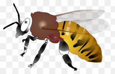 Hornet Png Svg Clip Art For Web - Honey Bee Emoji