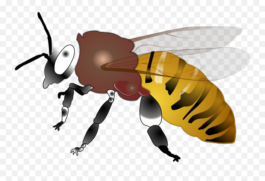 Hornet Png Svg Clip Art For Web - Honey Bee Emoji,The Green Hornet Emoji