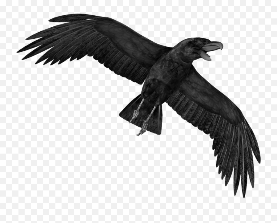 Crow Png Transparent Free Images - Crow Png Emoji,Flying Bird Emoji