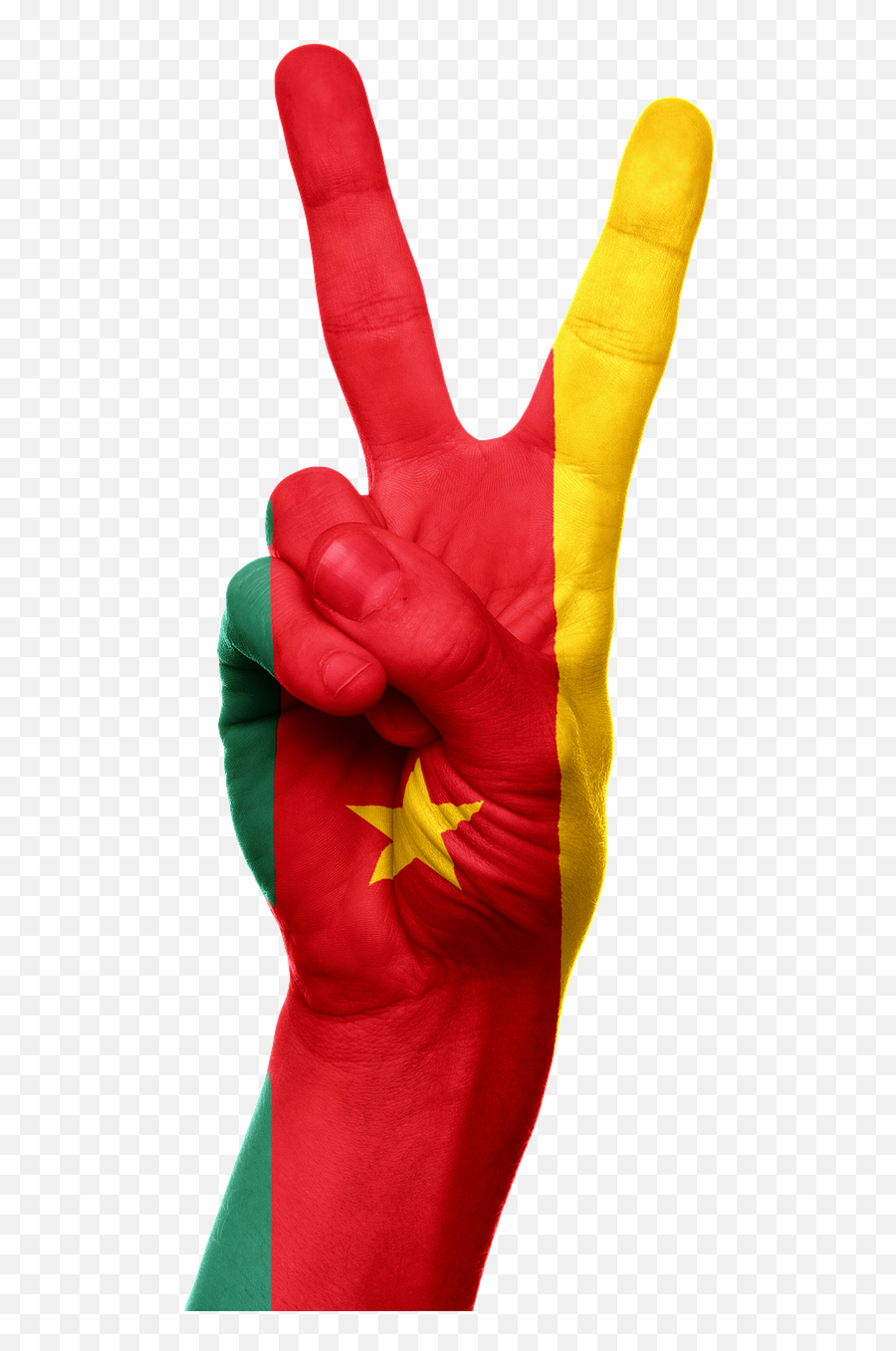 Cameroon Flag - Cameroon Png Emoji,Holland Flag Emoji